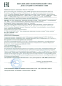 ГВ ЕЭС декларация 21.08.2020г